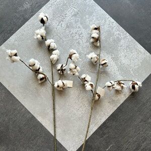 NWT, Cotton Stem Home Accent in White, set of 2